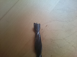 Wie sehen Holzbohrer aus